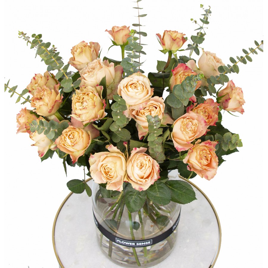 Peach Roses Plus