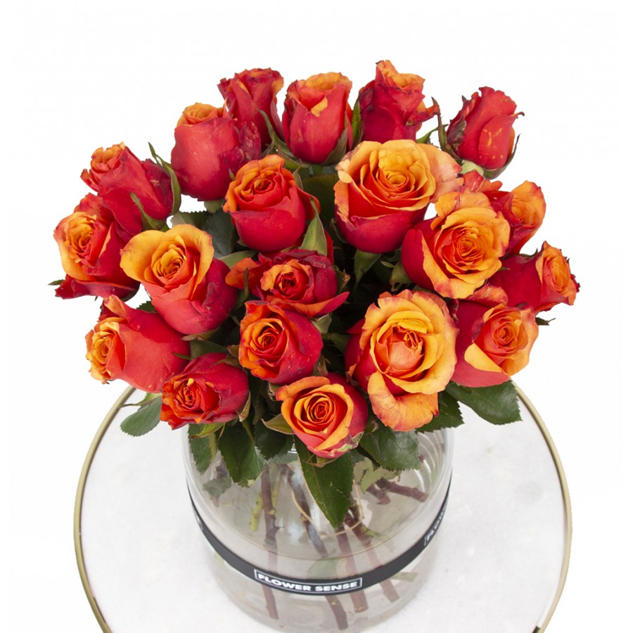 Orange Roses