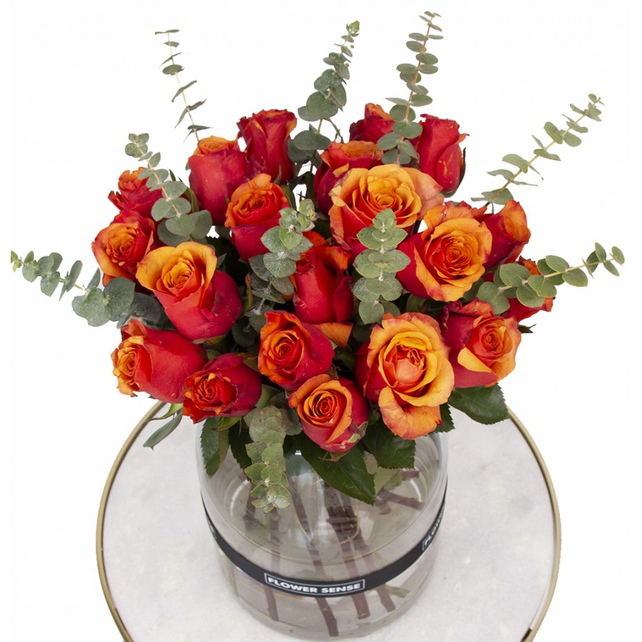 Orange Roses Plus