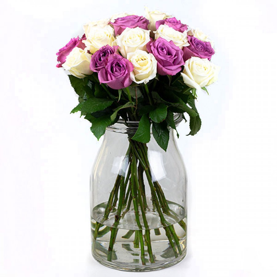 White & Purple Roses