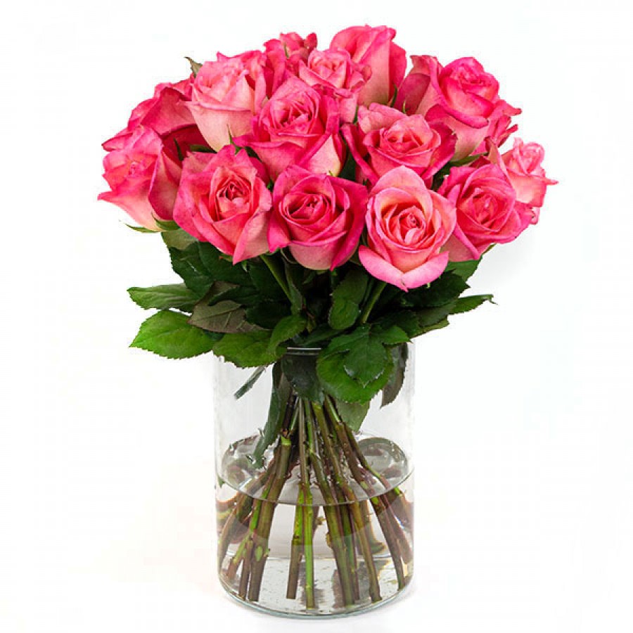 Dark Pink Roses - 20 Stems