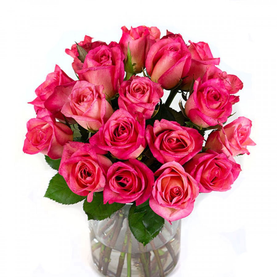 Dark Pink Roses - 20 Stems