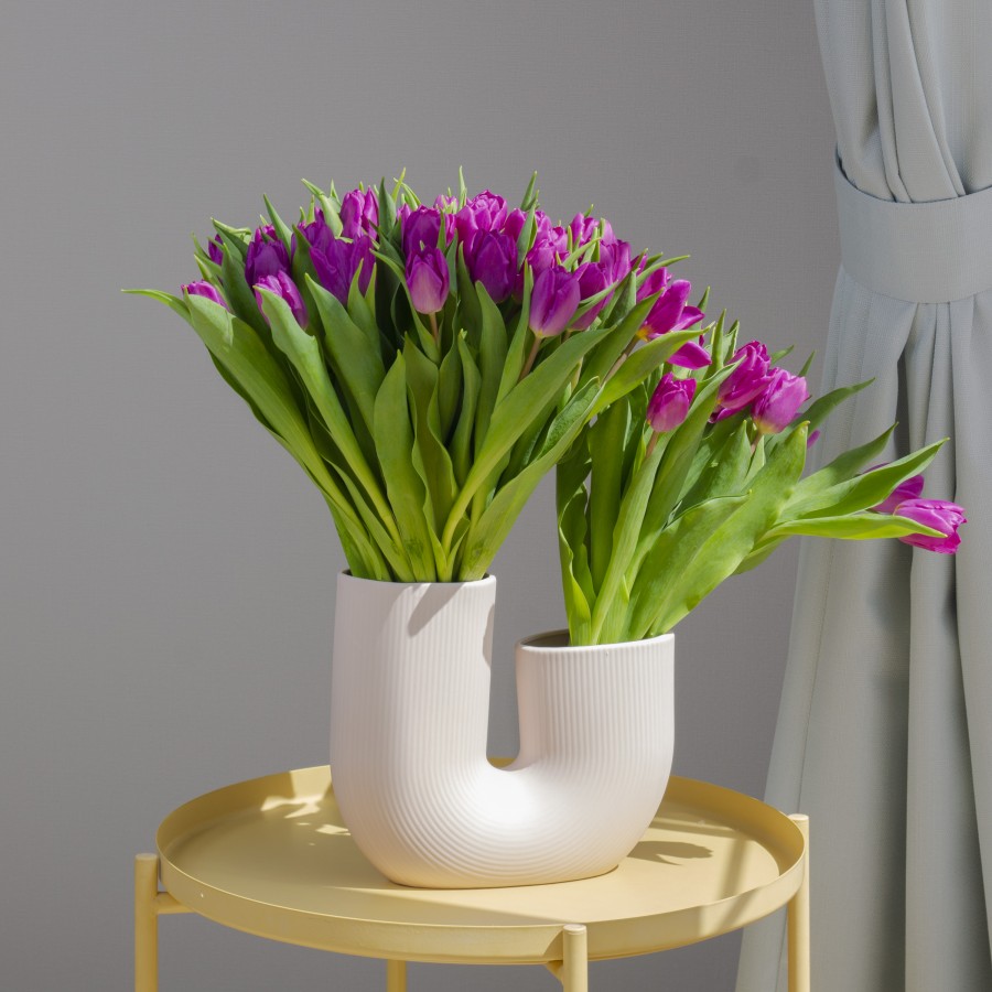 FlowerSense Vase- FS10